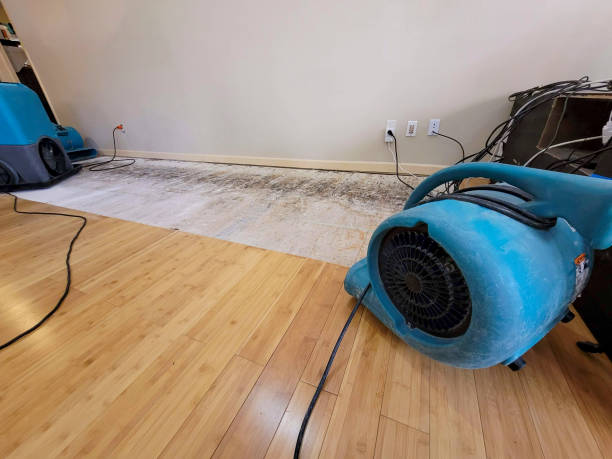 Professional Structural Drying technician working in Radiant, VA